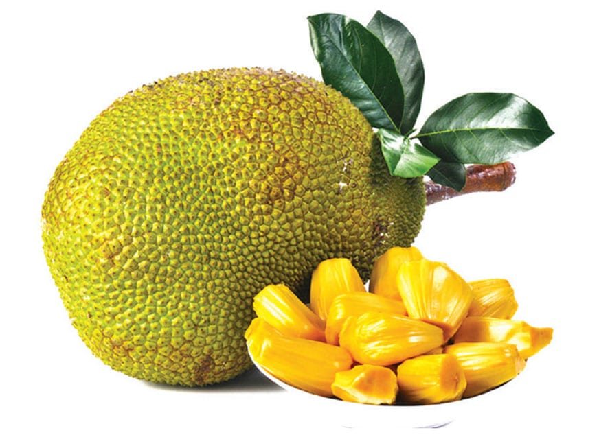 Jackfruit