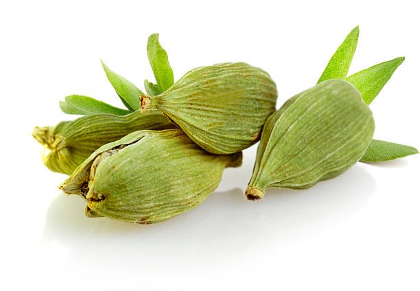 Cardamom